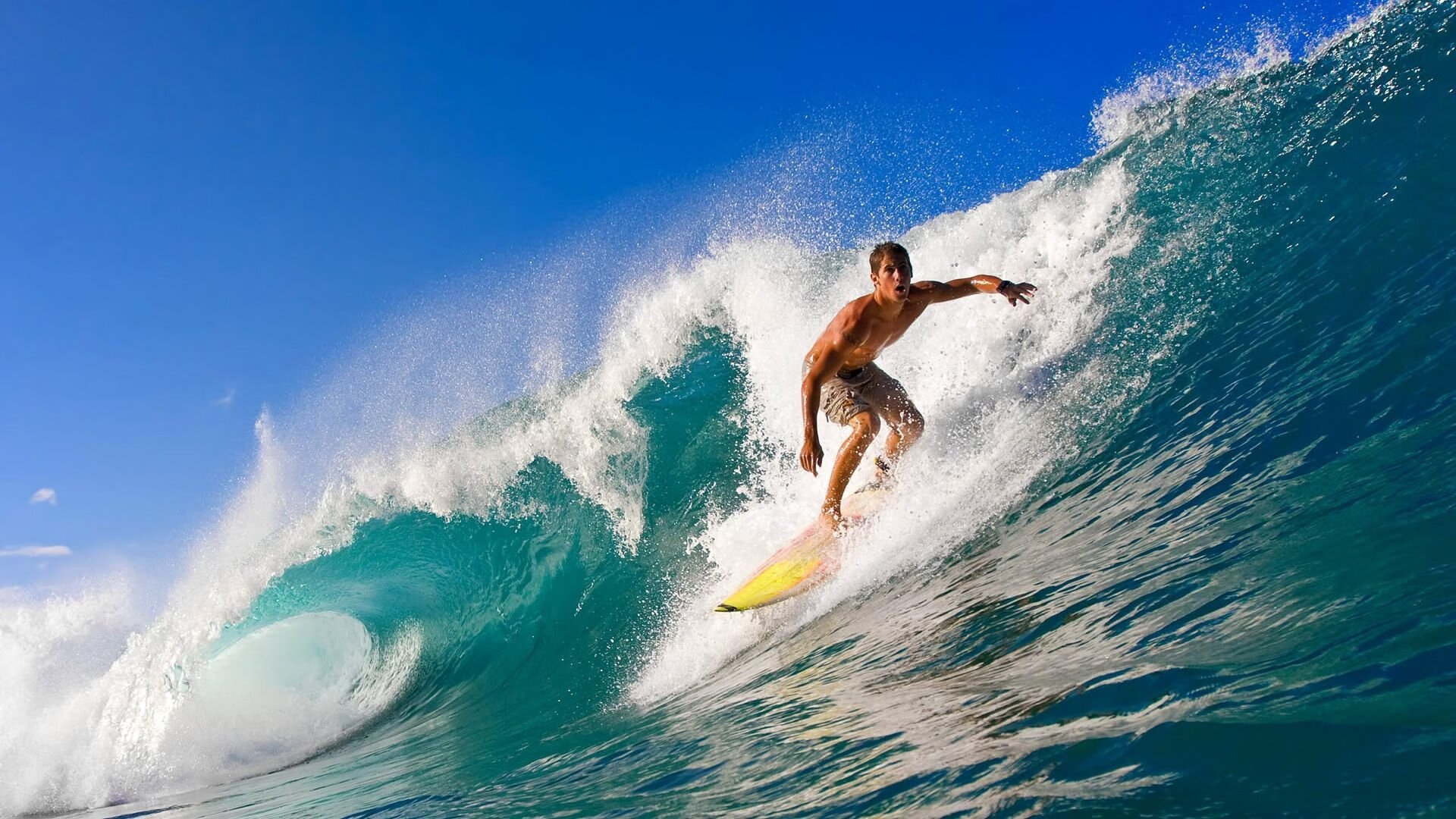乡村运动会，乡村振兴新动力，乡村运动建设